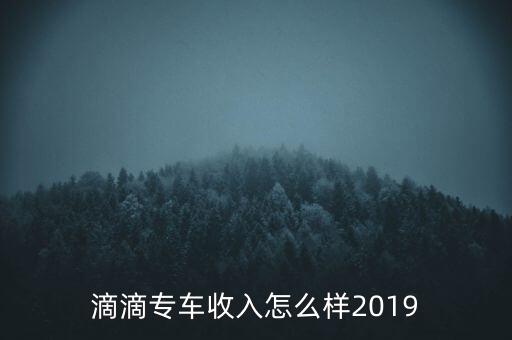 滴滴專(zhuān)車(chē)收入怎么樣2019