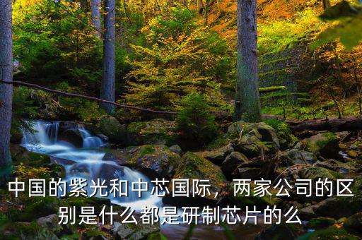 中國的紫光和中芯國際，兩家公司的區(qū)別是什么都是研制芯片的么