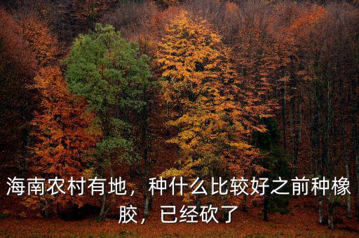 海南農(nóng)村有地，種什么比較好之前種橡膠，已經(jīng)砍了
