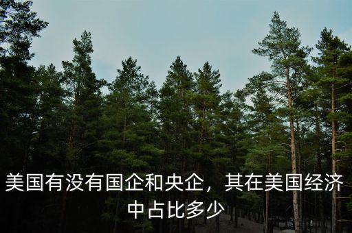 美國(guó)有沒(méi)有國(guó)企和央企，其在美國(guó)經(jīng)濟(jì)中占比多少