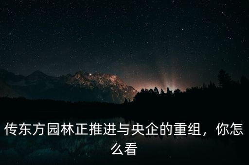 傳東方園林正推進(jìn)與央企的重組，你怎么看
