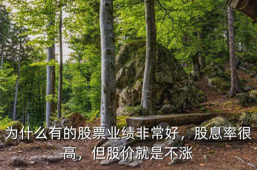 為什么有的股票業(yè)績非常好，股息率很高，但股價就是不漲