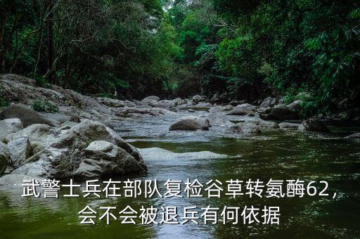 武警士兵在部隊(duì)復(fù)檢谷草轉(zhuǎn)氨酶62，會(huì)不會(huì)被退兵有何依據(jù)