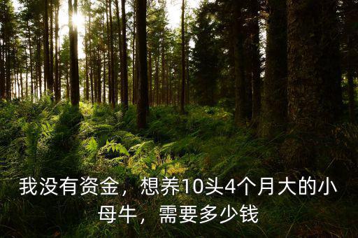 我沒(méi)有資金，想養(yǎng)10頭4個(gè)月大的小母牛，需要多少錢