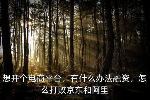 想開(kāi)個(gè)電商平臺(tái)，有什么辦法融資，怎么打敗京東和阿里