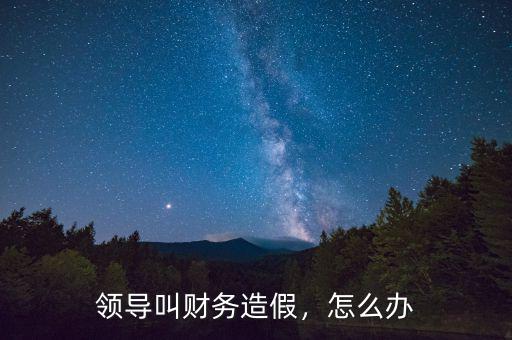 領導叫財務造假，怎么辦