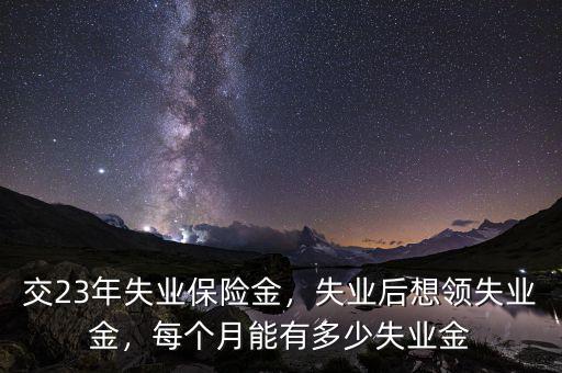 交23年失業(yè)保險(xiǎn)金，失業(yè)后想領(lǐng)失業(yè)金，每個(gè)月能有多少失業(yè)金