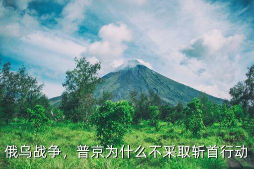 俄烏戰(zhàn)爭(zhēng)，普京為什么不采取斬首行動(dòng)