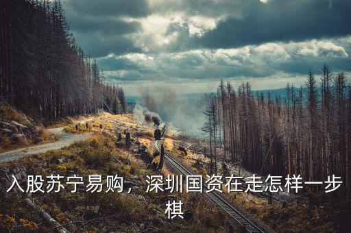 入股蘇寧易購，深圳國資在走怎樣一步棋