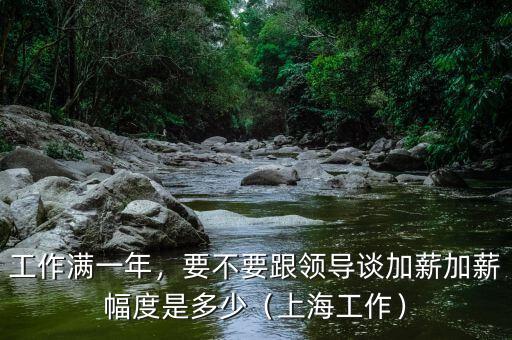 工作滿一年，要不要跟領(lǐng)導(dǎo)談加薪加薪幅度是多少（上海工作）