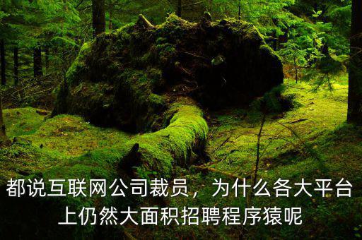 都說互聯(lián)網(wǎng)公司裁員，為什么各大平臺(tái)上仍然大面積招聘程序猿呢