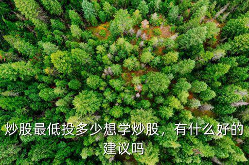 炒股最低投多少想學(xué)炒股，有什么好的建議嗎