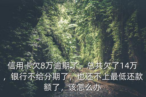 信用卡欠8萬逾期了，總共欠了14萬，銀行不給分期了，也還不上最低還款額了，該怎么辦