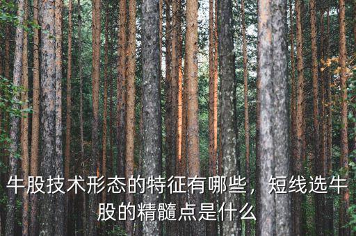 牛股技術(shù)形態(tài)的特征有哪些，短線選牛股的精髓點(diǎn)是什么