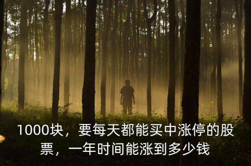 1000塊，要每天都能買中漲停的股票，一年時間能漲到多少錢