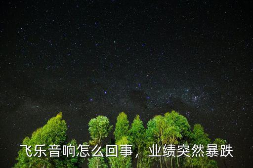 飛樂音響怎么回事，業(yè)績(jī)突然暴跌