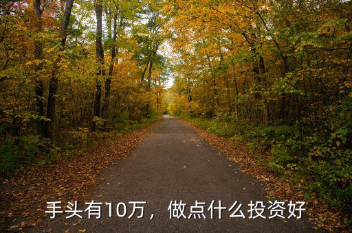 手頭有10萬，做點什么投資好