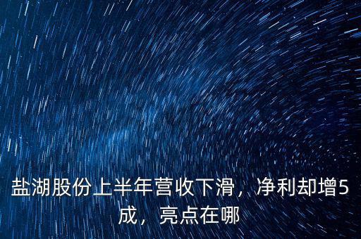 鹽湖股份上半年營收下滑，凈利卻增5成，亮點在哪