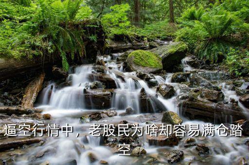 逼空行情中，老股民為啥卻容易滿倉踏空