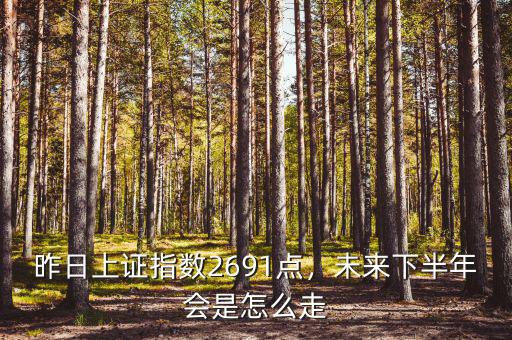 昨日上證指數(shù)2691點，未來下半年會是怎么走