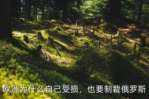歐洲為什么自己受損，也要制裁俄羅斯