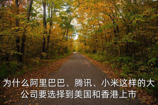 為什么阿里巴巴、騰訊、小米這樣的大公司要選擇到美國和香港上市