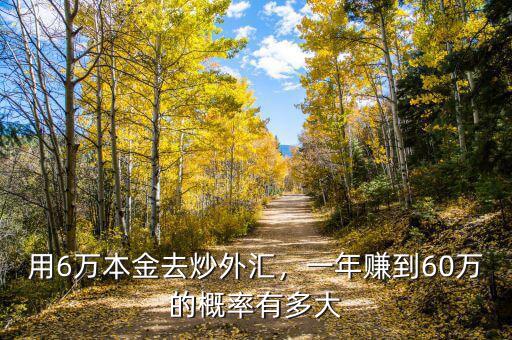 用6萬(wàn)本金去炒外匯，一年賺到60萬(wàn)的概率有多大