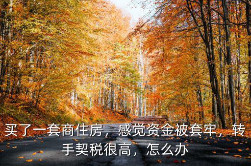 買了一套商住房，感覺資金被套牢，轉(zhuǎn)手契稅很高，怎么辦