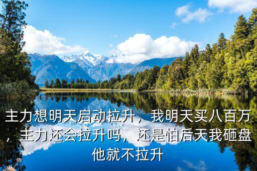 主力想明天啟動拉升，我明天買八百萬，主力還會拉升嗎，還是怕后天我砸盤他就不拉升