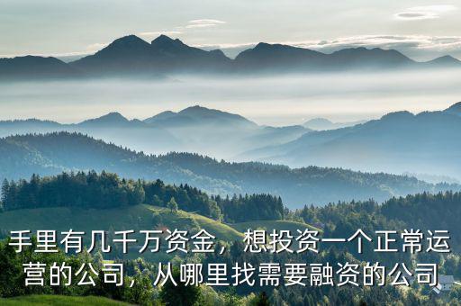 手里有幾千萬資金，想投資一個(gè)正常運(yùn)營的公司，從哪里找需要融資的公司