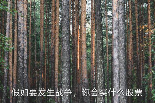 假如要發(fā)生戰(zhàn)爭，你會(huì)買什么股票