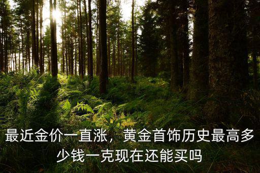 最近金價(jià)一直漲，黃金首飾歷史最高多少錢一克現(xiàn)在還能買嗎