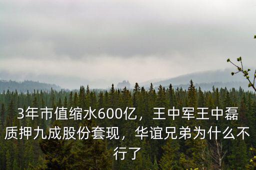 3年市值縮水600億，王中軍王中磊質(zhì)押九成股份套現(xiàn)，華誼兄弟為什么不行了