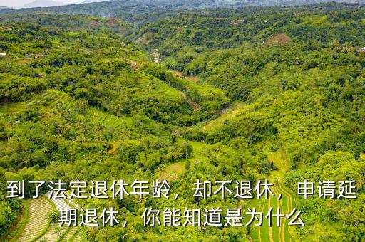 到了法定退休年齡，卻不退休，申請(qǐng)延期退休，你能知道是為什么