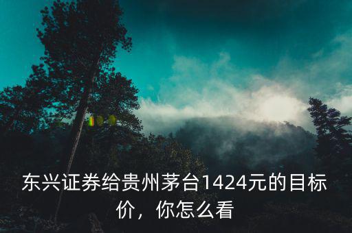 東興證券給貴州茅臺1424元的目標(biāo)價，你怎么看