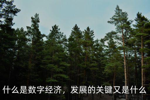 什么是數(shù)字經(jīng)濟(jì)，發(fā)展的關(guān)鍵又是什么