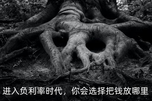 進(jìn)入負(fù)利率時(shí)代，你會(huì)選擇把錢(qián)放哪里
