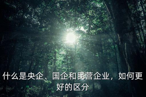 什么是央企、國企和民營企業(yè)，如何更好的區(qū)分