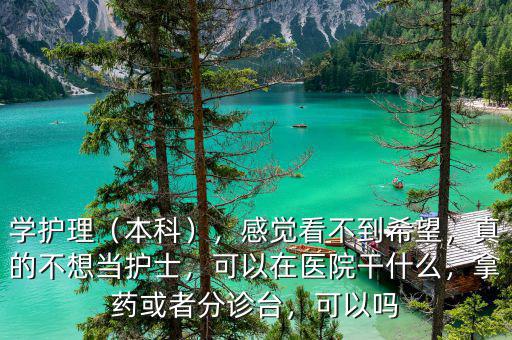 學(xué)護理（本科），感覺看不到希望，真的不想當護士，可以在醫(yī)院干什么，拿藥或者分診臺，可以嗎