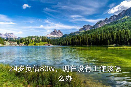 24歲負(fù)債80w，現(xiàn)在沒(méi)有工作該怎么辦