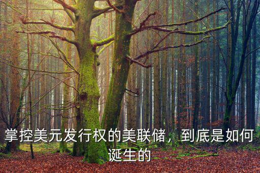 掌控美元發(fā)行權的美聯(lián)儲，到底是如何誕生的