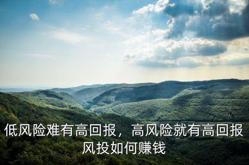 低風險難有高回報，高風險就有高回報風投如何賺錢