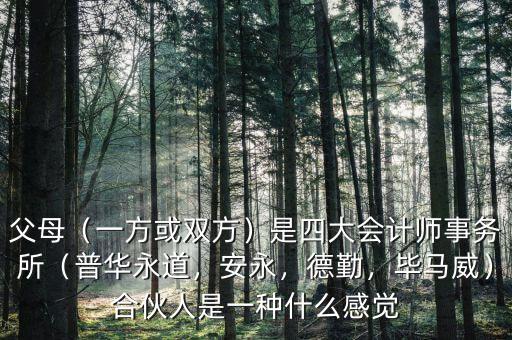 父母（一方或雙方）是四大會計師事務(wù)所（普華永道，安永，德勤，畢馬威）合伙人是一種什么感覺