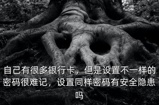 自己有很多銀行卡，但是設(shè)置不一樣的密碼很難記，設(shè)置同樣密碼有安全隱患嗎