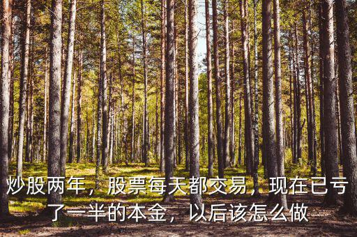 炒股兩年，股票每天都交易，現(xiàn)在已虧了一半的本金，以后該怎么做