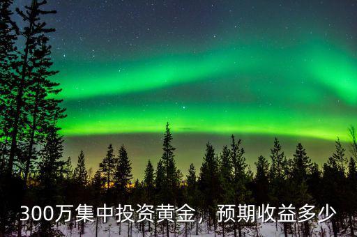 300萬集中投資黃金，預(yù)期收益多少