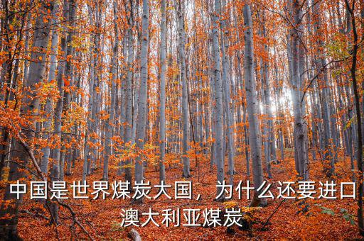 中國是世界煤炭大國，為什么還要進口澳大利亞煤炭