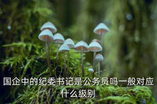 國企中的紀委書記是公務(wù)員嗎一般對應什么級別