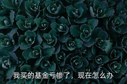 我買的基金虧慘了，現(xiàn)在怎么辦