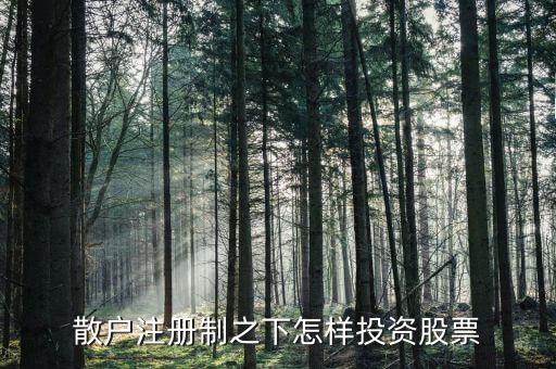 散戶(hù)注冊(cè)制之下怎樣投資股票